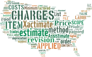 America-Xactimate-estimating-word-cloud-300x186